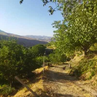 ۱۰۰۰۰متر باغ مثمر سردسیری(مجهز)|فروش دفتر صنعتی، کشاورزی، تجاری|پادنا, |دیوار