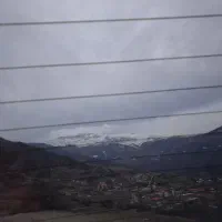 تارای اتومات