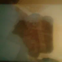 نشت یابی رفع نمزدگی رطوبت بدون خرابی لوله بازکن|خدمات پیشه و مهارت|نیشابور, ابراهیمی|دیوار