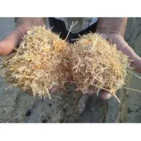 خریدوفروش کاه سفید لوبیا یونجه درب دامداری