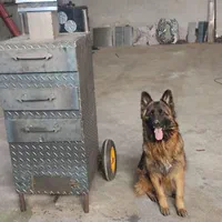 دستگاه بلال تنوری لبو باقالی ایوژن|کافیشاپ و رستوران|پاکدشت, شهرک انقلاب|دیوار