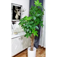 فروشگاه گلسرای رها