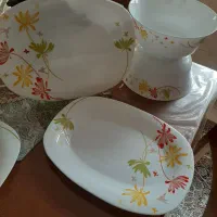 ارکوپال ۲ دست پلو ۲ عدد دیس ۲ کاسه بزرگ