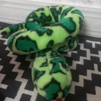 تعداد محدودی عروسک|اسباب‌‌بازی|بابل, |دیوار