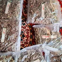 دوچرخه  یامها اصل و