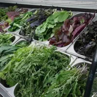 بسته بندی سبزیجات