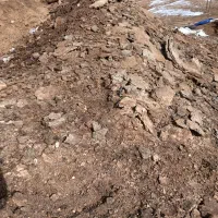 کود حیوانی خالص گوسفندی