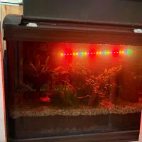 اکواریوم ماهیران