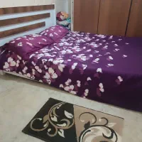 اجاره روزانه سوئیت در رشت|اجارهٔ کوتاه‌مدت آپارتمان و سوئیت|رشت, کوی فکوری|دیوار