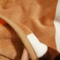 پتو تک نفره