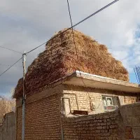 علف|خدمات باغبانی و درختکاری|سراب, |دیوار
