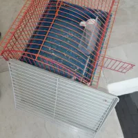 قفس وطلق موتور وباکس کنتراب  قیمت منصفانه|لوازم جانبی حیوانات|سبزوار, گلشن|دیوار