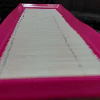 کارگر ساده خانم و آقا