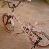 دوچرخه|دوچرخه، اسکیت، اسکوتر|سرخرود, |دیوار