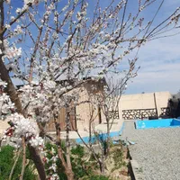 اجاره کوتاه مدت باغ ویلا|اجارهٔ کوتاهمدت ویلا و باغ|رباطکریم, منجیل آباد|دیوار