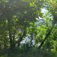 خانه-باغ