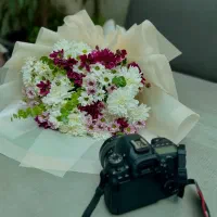 عکاس و فیلمبردار