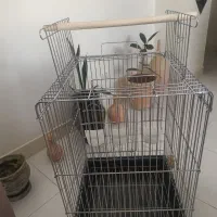 قفس استیل ضخیم  ضد زنگ و درجه یک خارجی کد ۱۰۳۳|لوازم جانبی حیوانات|پردیس, فاز ۱|دیوار