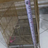 قفس سهره|لوازم جانبی حیوانات|تهران, سازمان آب|دیوار