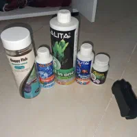 آکواریوم|ماهی|کرمانشاه, |دیوار