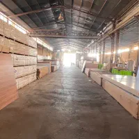 سوله طرحچی۱۸ خین عرب|فروش دفتر صنعتی، کشاورزی، تجاری|مشهد, نوید|دیوار