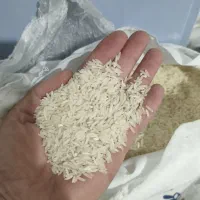 فروش برنج فجر شمال بدون واسطه ،قیمت اقتصادی