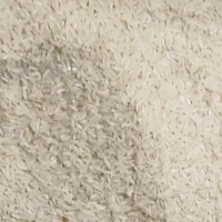 برنج هلال کشت دوم