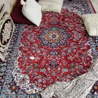 قالی|فرش|تربت جام, معدآباد|دیوار