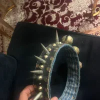 قلاده دوسه تا از خار هاش کم شده|لوازم جانبی حیوانات|گنبد کاووس, |دیوار