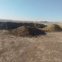 پخش کود دامی|خدمات باغبانی و درختکاری|محمدشهر, محمدشهر|دیوار