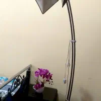 آباژور در حد نو