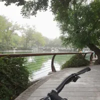 دوچرخه جاینت تالون اصل|دوچرخه، اسکیت، اسکوتر|مشهد, یاس|دیوار