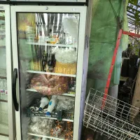 یخچال تک در اوگور اصل