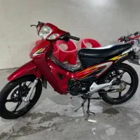 بیکلاچ لوتوس زرشکی