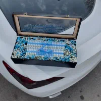 باکس پول|گل مصنوعی|زنجان, |دیوار