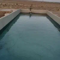 فروش باغچه پسته 500 متری در دشت لویین