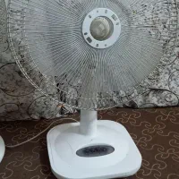 پنکه