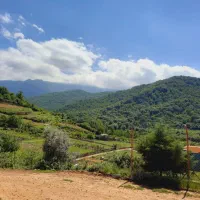 زمین قیمت مناسب بالای پرورش ماهی شموشک علیا|فروش زمین و ملک کلنگی|گرگان, |دیوار