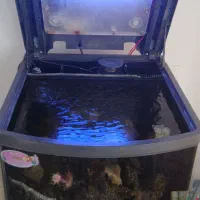 آکواریوم آب شور بویو