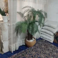 درختچه نخل و گلدان|گل مصنوعی|قم, نیروگاه|دیوار