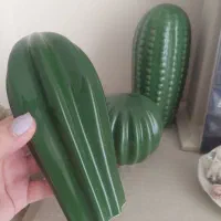 مجسمه دکوری کاکتوس|مجسمه، تندیس، ماکت|تهران, والفجر (افسریه)|دیوار