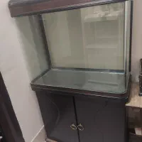 دو عدد آکواریوم|ماهی|مشهد, امام رضا (ع)|دیوار