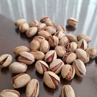 پسته خندان درجه یک تازه|خوردنی و آشامیدنی|سبزوار, شهرک جهاد|دیوار
