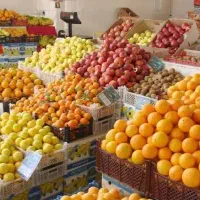 اجاره میوه فروشی با تمام وسایل