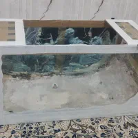 آکواریوم ماهی