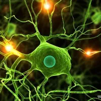 تدریس خصوصی زیست دبیرستان و کنکور