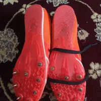 کفش چمنی|کیف، کفش، کمربند|زاهدان, |دیوار