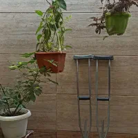عصا طبی
