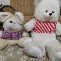 یک خرس و یک خرگوش