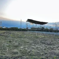 زمین باغی ۲۴۰ متری